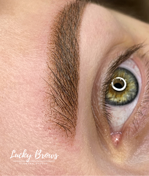 LUCKY BROWS Glebova studio