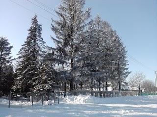 Петрівська ЗОШ І - ІІІст