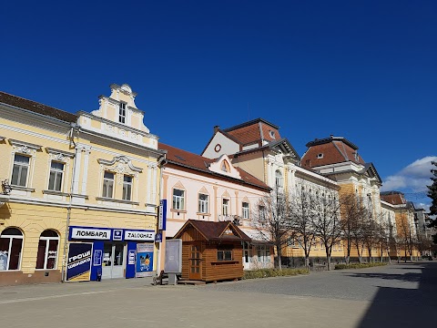 Закарпатський угорський інститут ім. Василя Кіта