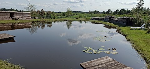 Гостинне подвір'я