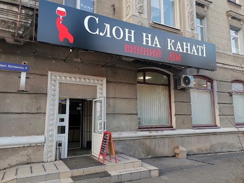 Слон на канаті