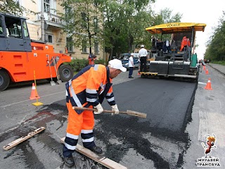 Муравей Трансбуд