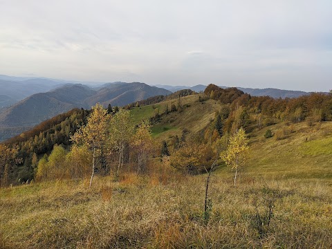 Національний природний парк "Вижницький"