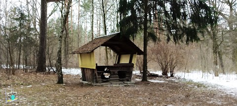 Альтанки та зона відпочинку