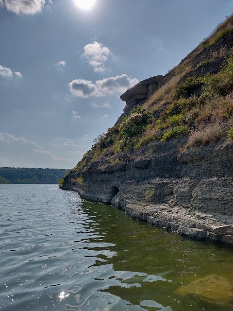 Лебедина оселя