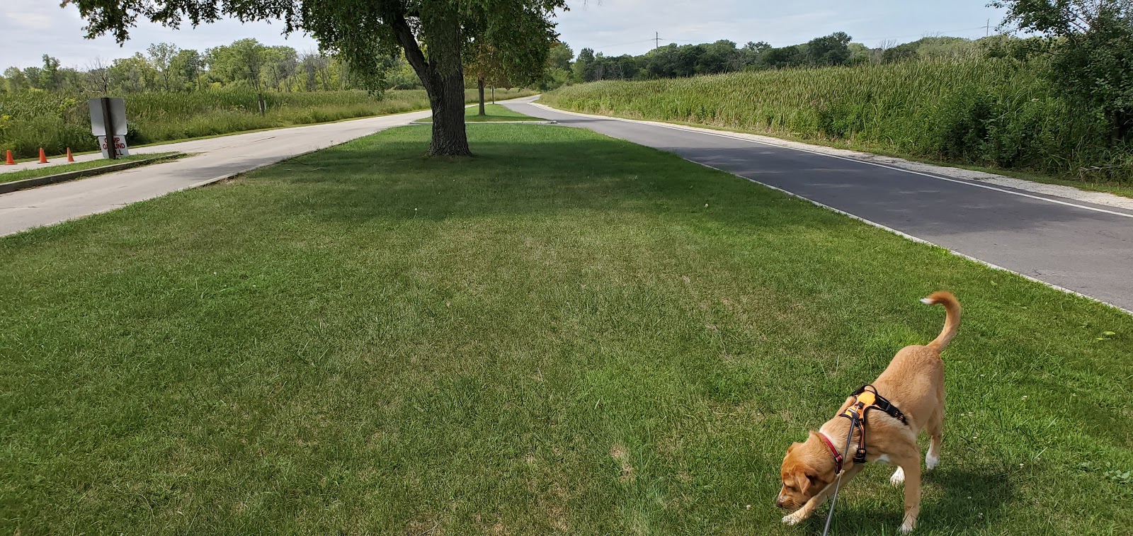 Illinois Beach State Park Campground