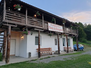 Cottage flower Maramures