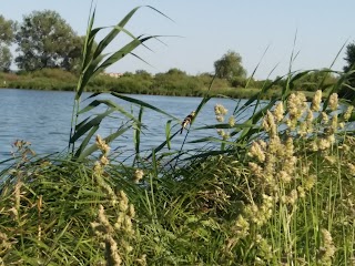 Басів кут