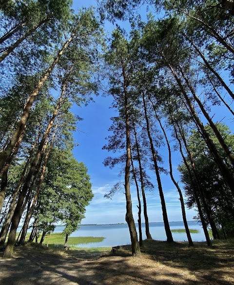 Під Ліском