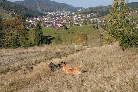 Полонина Грунь