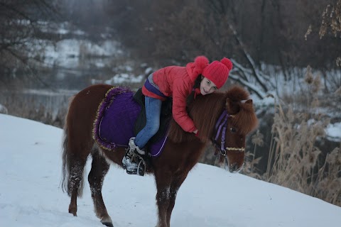 Кінний клуб Меріт