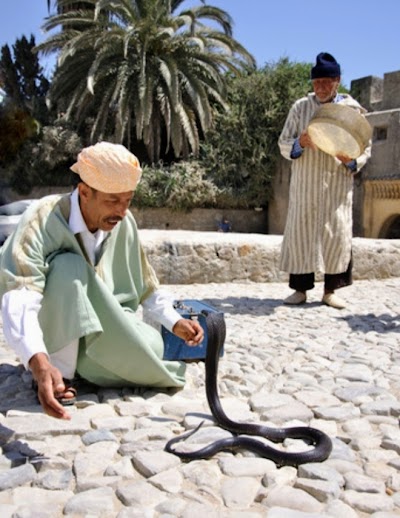 photo of YALLA! private guided tours tangier