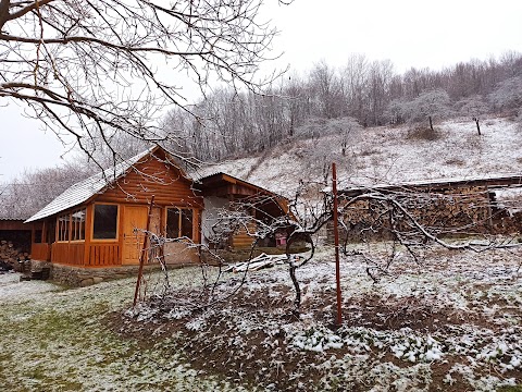 Приватна садиба Лісковець