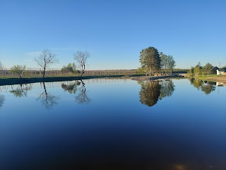 Мандичі