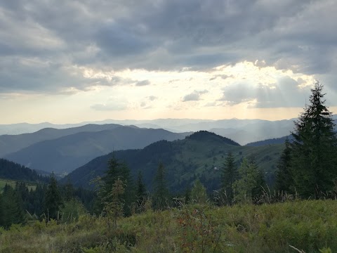 Гостинний двір "Горицвіт"