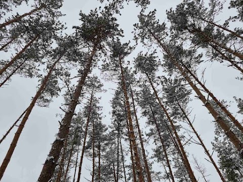 КМ Квітневе