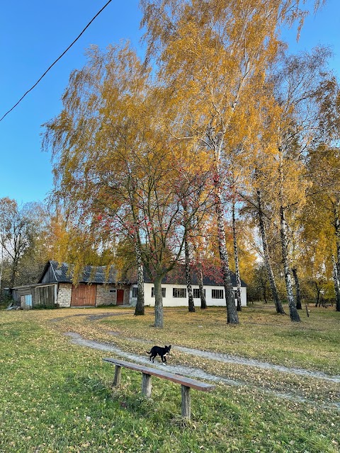 РІПКІВСЬКИЙ НВК ЗАГАЛЬНООСВІТНЯ ШКОЛА І-ІІІ СТУПЕНІВ - ДИТЯЧИЙ САДОК