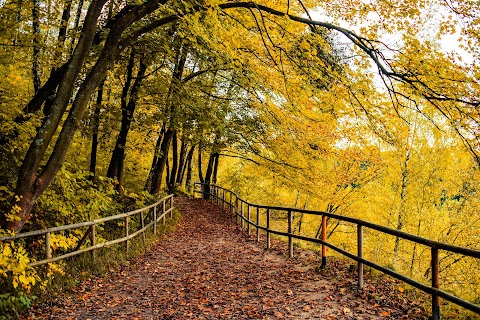 Регіональний ландшафтний парк "Знесіння"