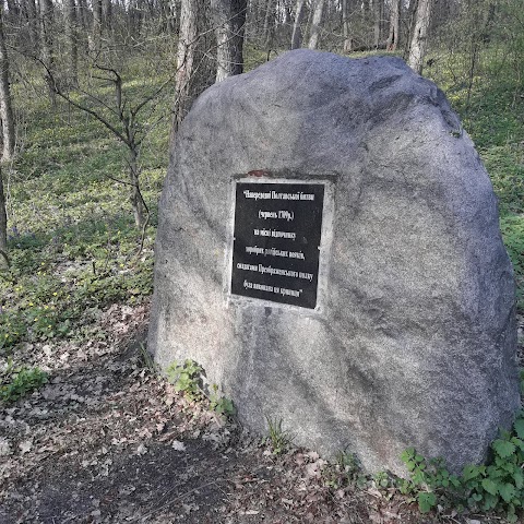 Пам'ятник Івану Мазепі