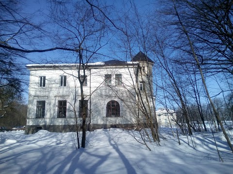 Великодедеркальська районна комунальна лікарня