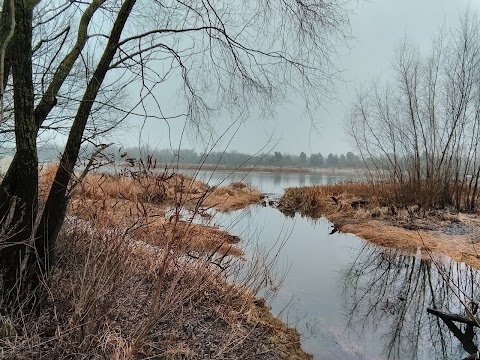 Хотянівська школа