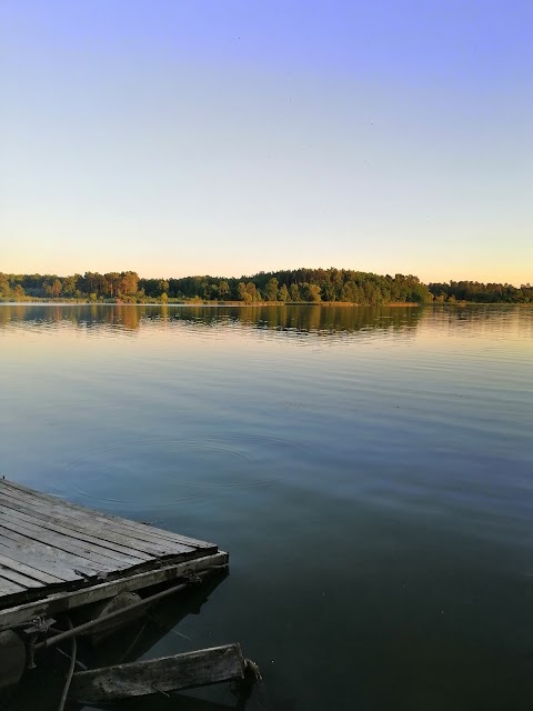 Лісовий берег