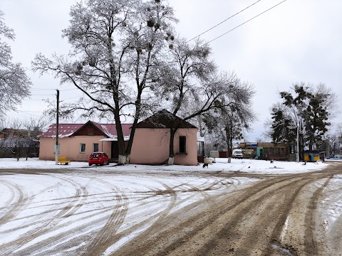 ПОКОТИЛОВСКИЙ КЛУБ