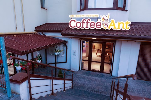 Coffee Ant