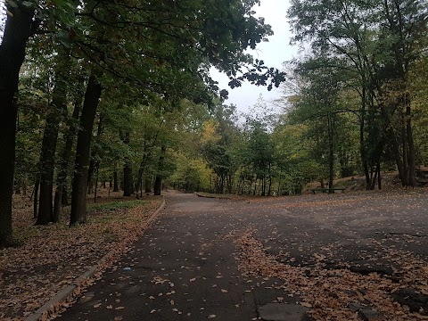 Голосіївський двір