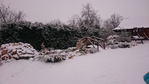 Апартамент Камілла