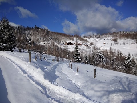 БАГРІВЕЦЬ, КОТЕДЖ