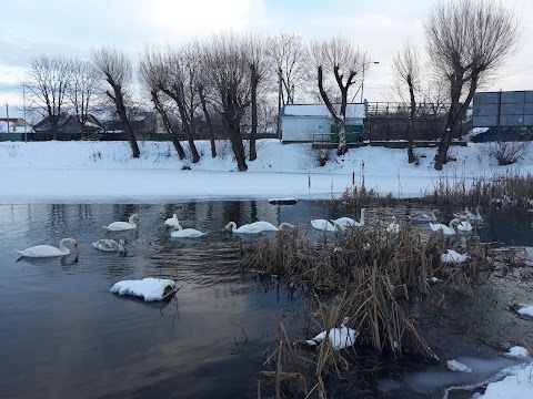 Зона відпочинку імені Назарія Яремчука