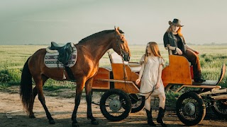 Квест кінний клуб "Ламбер"