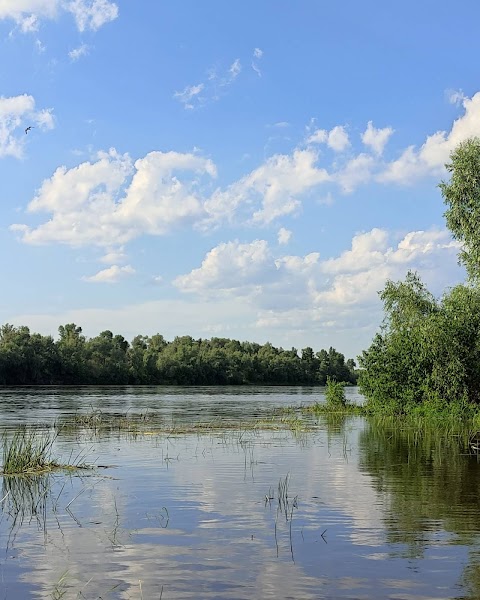 База відпочинку"Літки"