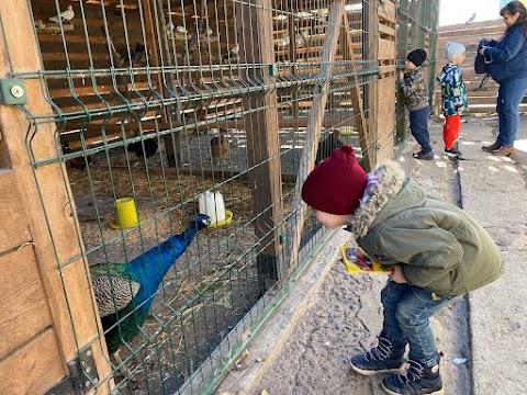 Дитячий християнський простір "Від Ангола до Янгола". Christian kindergarten from Angel to Angel