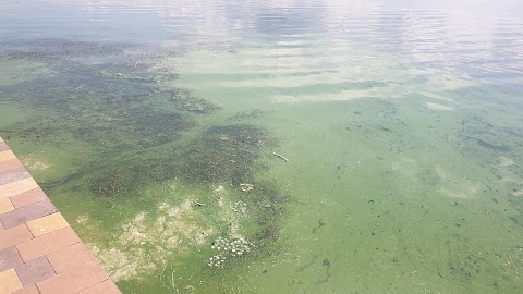 Городской детский пляж