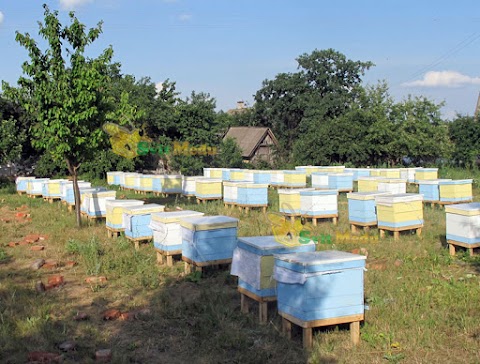 Світ Меду - Продажа меда и продуктов пчеловодства