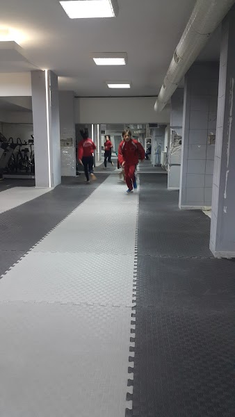 Yeni Bornova Spor Kulübü