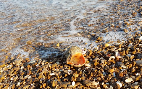 База відпочинку Водограй