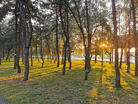 Парк відпочинку ім. Писаржевського