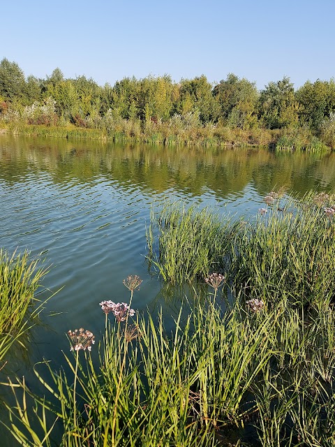 Санаторій ім. Миколи Гоголя