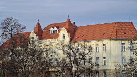 Лінгвістична гімназія ім. Т. Г. Шевченка