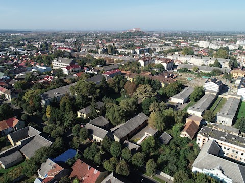 МУКАЧІВСЬКИЙ ВІЙСЬКОВИЙ ГОСПІТАЛЬ