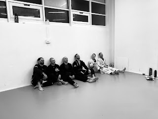 SEKCIJA brazilian jiu jitsu school