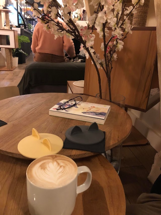 NEKOMATA - Café à chats