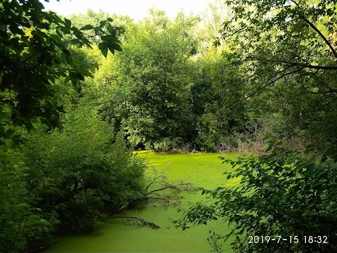 Турнік, бруси