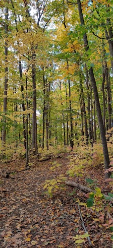 Arbor Hills Nature Area