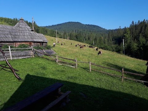 Гостинний дім "МАГНАТ"