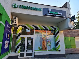 БелліZoo