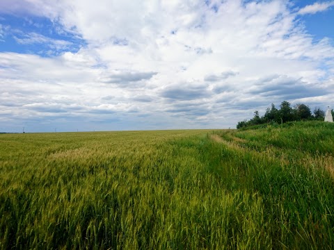 Сіннянська дільнична державна лікарня ветеринарної медицини